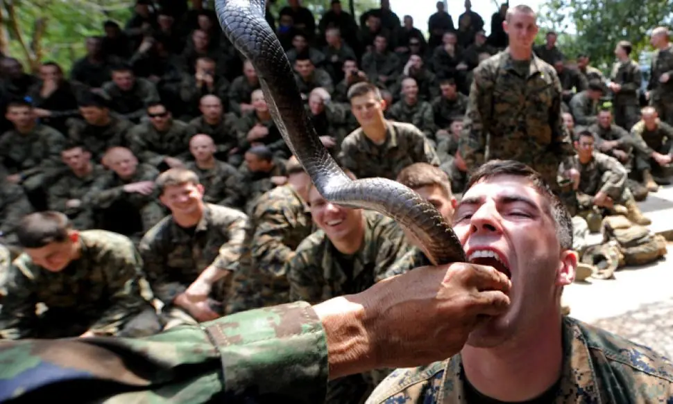 US Marines: Cobra-Blood Shots