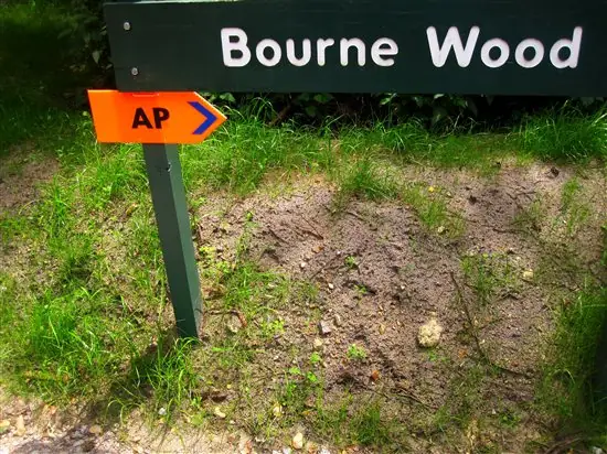 BOURNE WOOD